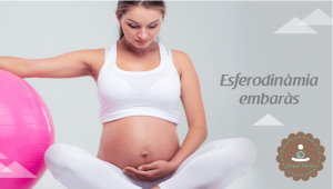 Esferodinàmia-embarassades-embarazada-embaràs-Girona-Espai-Mares-Classes-Llevadora-Preparació-física-Part-Pilates-Gimnasia-Exercici-Pelvis-fitball-estiraments-tonificar-relaxació-respiració-sòl-pelvià-pilota-activitat-consciència-corporal-EspaiMares