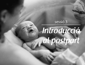 Preparació-al-part-embaràs-parir-postpart-introducció-eines-parella-EspaiMares-Espai-Mares-cuidar-bebé-guia