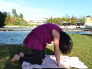 Marjaryasana y Bitilasana (Gato y Vaca) posturas de yoga